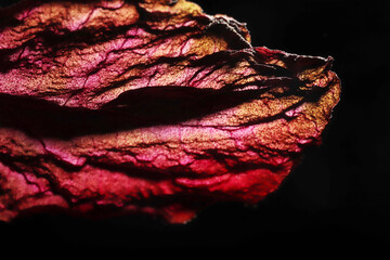 Poster - Dry Leaf Texture Abstract Background