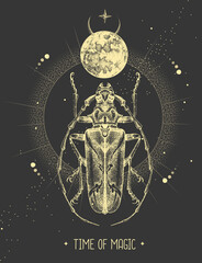 Wall Mural - Modern magic witchcraft card with moon and longhorn beetle. Hand drawing occult vector illustration