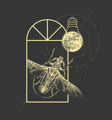 Wall Mural - Magic witchcraft window silhouette with longhorn beetle and full moon like light bulb. Vector illustration