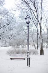 Poster - lantern public park in winter in the snow