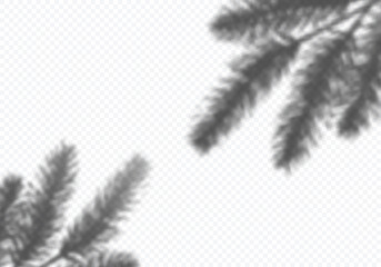 Aufkleber - Transparent Vector Shadow of Christmas Tree Branches. Decorative Design Element for Collage and Mock Up. Creative Overlay Effect for Mockups, Posters and New Year Greeting Cards