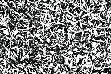 Poster - Grunge texture of willow leaves on the ground. Abstract monochrome background. Vector illustration. Overlay template.