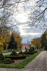 Wall Mural - Empty wooden benches and picturesque autumn park	