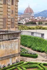 Wall Mural - Cityscape of Florence, Italy