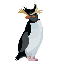 Figure Of A Standing Rockhopper Penguin