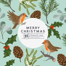 Vintage Floral Christmas Layout Desing With Robin Birds And Seasonal Plants Including Mistletoe And Pine. Vector Illustration.