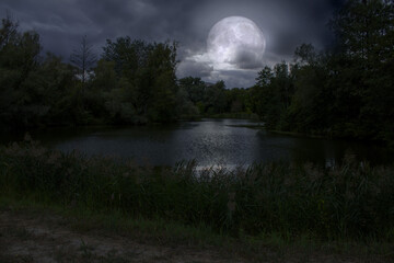 Wall Mural - full moon and cloudy sky over the night lake