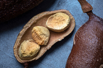 Jatoba fruit on gray background, view from the top