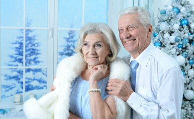 Poster - Happy senior couple on Christmas at home