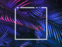 Neon Party Fluorescent Color Flat Lay Layout Design Background With Tropical Palm Leaves