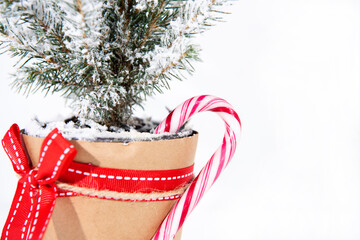 Wall Mural - Christmas tree decoration. Merry Christmas concept. Small tree isolated on white background.