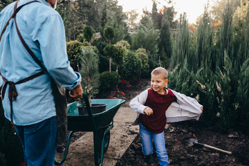 Wall Mural - boy helping his grandfather working in nursery garden