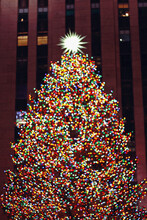 Illuminated Christmas Tree Against Building At Night