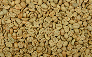 Wall Mural - Background of unroasted raw green coffee beans