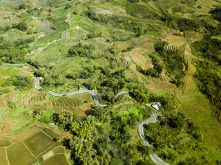 Wall Mural - Rice field in West Manggarai, Flores drone view 