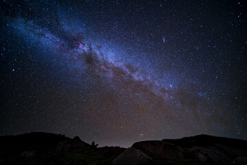 Wall Mural - starry night sky
