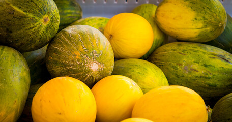 Wall Mural - fresh melons at a farmers market