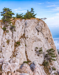 High rocky mountain on blue sky background. Green pine trees on the mountainside.