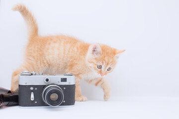 A funny ginger kitten plays with a camera and film.