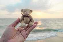 Cropped Hand Holding Teddy Bear At Beach During Sunset