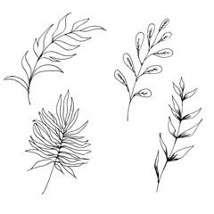  A close up Set of contour cute flowers and twigs in doodle style without shading and black strokes. outline modern Coloring book antistress. Isolated on white background. Stock illustration.