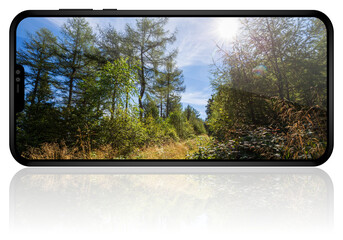 Fototapete - Mobile phone photography concept illustration, smartphone with autumn mountain landscape
