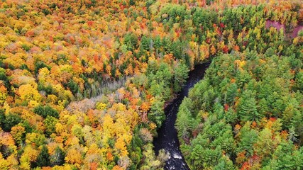 Wall Mural - incredible aerial flying down the bad river towards a horseshoe shaped river bend with colorful fall