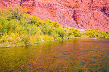 Sticker - Wide river and tall green grass