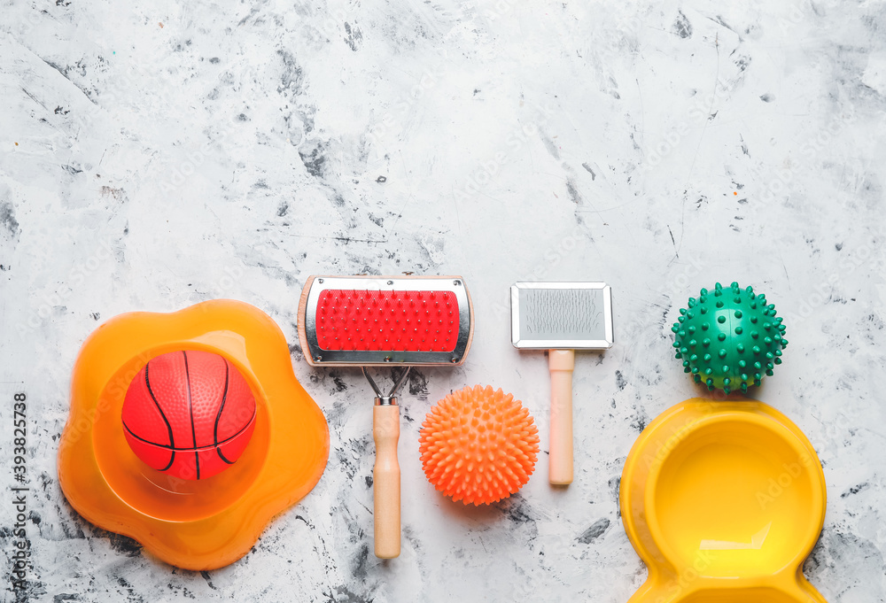 Pet care accessories on light background