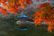 Gazebo Amidst Lake In Forest During Autumn