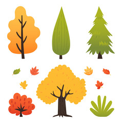Wall Mural - Autumn trees set isolated on white background vector illustration.Trees forest plant and burning bush