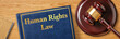 © Zerbor - A gavel with a law book - Human Rights Law