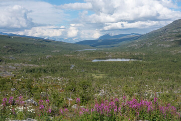 Wall Mural - View from Skibotndalen, Skibotn, Troms, Norway
