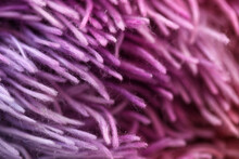 Full Frame Shot Of Purple Fur
