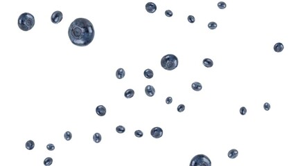 Wall Mural - Many blueberries exploding and free falling on white background. Selective focus - shallow depth of field. Digital animation, loop.