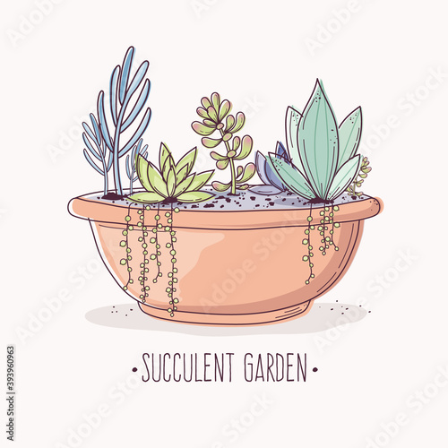 Succulent garden Canvas Print