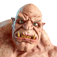 Wall Mural - ogre man id portrait in white background