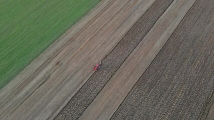 Wall Mural - Aerial view of preparing land for sowing field in farming with red tractor plowing