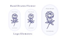 Set Of Hand Drawn Vintage Botanical Rose Flower, Peony Illustration And Leaf Branch Elements For Feminine Logo And Beauty Brand