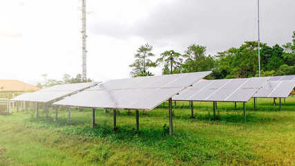 Wall Mural - photovoltaic modules for renewable energy, alternative power energy, combined power generations syst