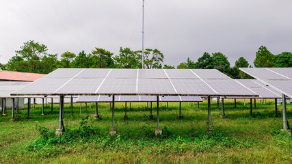 Wall Mural - photovoltaic modules for renewable energy, alternative power energy, combined power generations syst