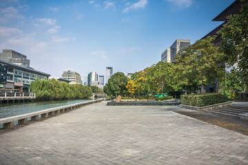 Canvas Print - city and grass with blue sky