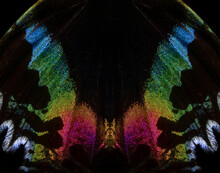 Colorful Wing Of A Tropical Butterfly Close-up. Abstract Pattern Butterfly Wing Texture Background. Madagascan Sunset Moth.  