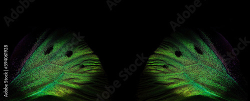 Fotomural bright colorful wings of a tropical butterfly on black copy space