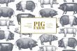 Hand drawn farm animals background. Vector pig design template. Vintage hog illustration