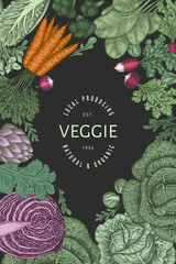 Wall Mural - Hand drawn vintage color vegetables design. Organic fresh food vector banner template. Retro vegetable background. Traditional botanical illustrations.