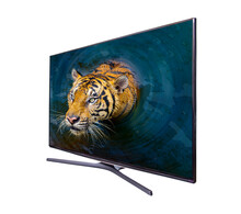 The Tiger Peeks Out Of The TV Screen, Isolated On White Background.