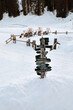 © Laura Stolfi/Stocksy - Directional road signs tower standing in the snow in front of sleds parking in the Alps in Italy
