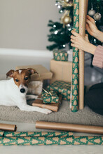 Preparing Christmas Presents With Dog