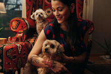 Stylish Brunette Woman Portrait With Her Pet Dogs